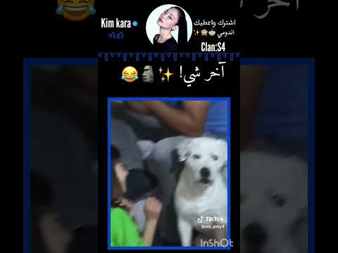 كملول للأخير تفهموا كيبوب اكسبلور سومو  مامامو موفكرتي  كبسو  ترند