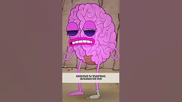 На ЧТО действительно ВЛИЯЕТ IQ? — Научпок #shorts