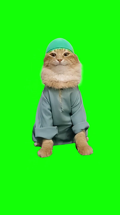 Happy Muslim Cat with Green Cap meme - Green Screen