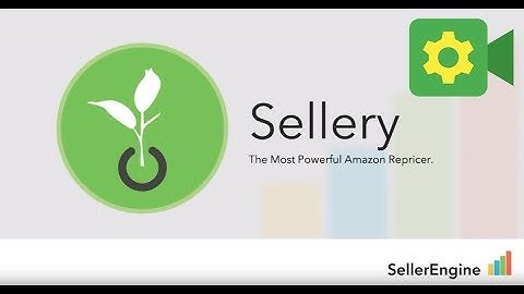 Automatic Repricing with Sellery