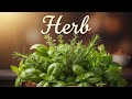 Herb Lec 3 ☘️ + Unorganized intro 🍯