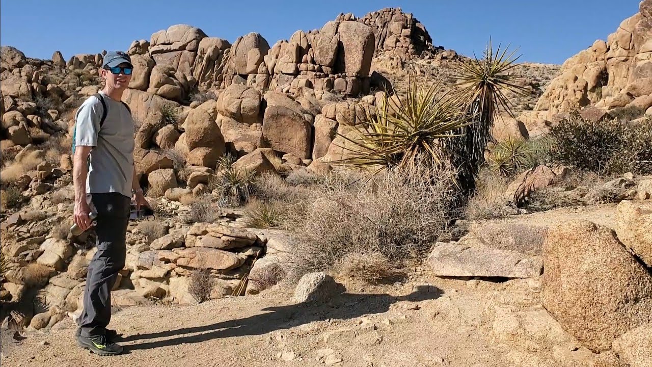 3 - Joshua Tree National Park!