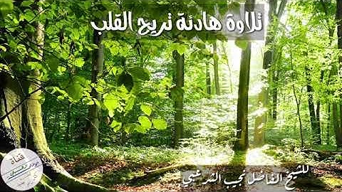 تلاوة هادئة تريح القلب للشيخ الفاضل /نجيب الشرعبي حفظه الله 