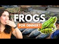 i cannot eat frogs sorry | Vietnam Vlog 04