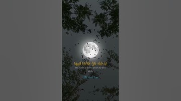 سورة النساء أية 14 #سورة_النساء #like #قران_كريم #explore #tiktok