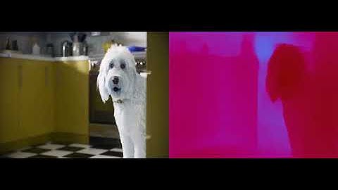 Flash Dog Depth Estimation