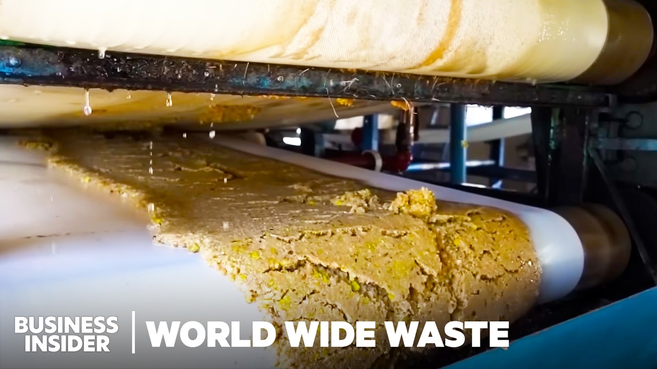 How Fruit Pulp Replaces Firewood and Charcoal | World Wide Waste