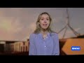Coalition promises to slash tobacco tax, legalise and regulate vapes | ABC NEWS