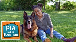 Deutscher Schäferhund | Information für Kinder | Pia und die Haustiere