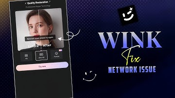 Wink App Network Issues Problem Solve | How To Fix Network Issue in wink🔥