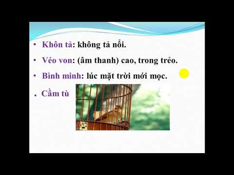 Khối 2 - Tập đọc - Chim sơn ca và bông cúc trắng - GV Trần Thị Thanh