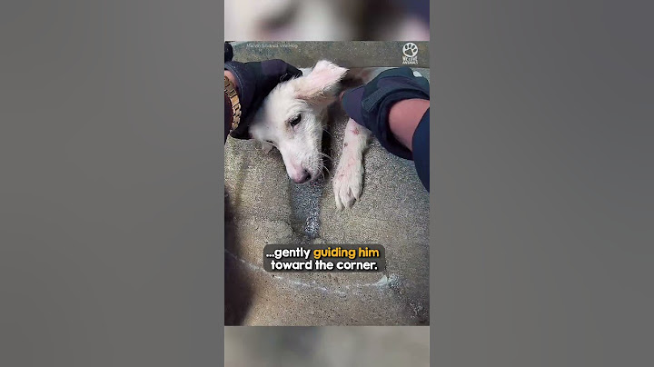Kindhearted biker stopped ❤️