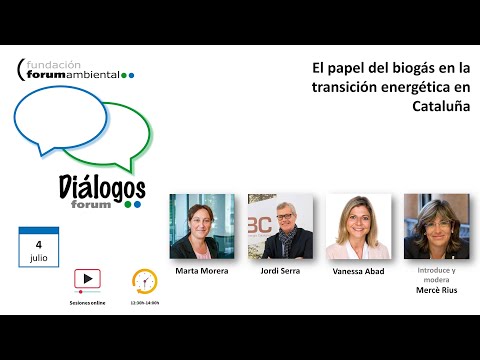 Vídeo: Depuradores: avantatges, finalitat i descripció funcional