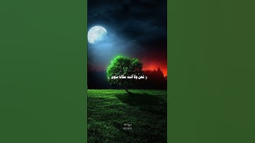 ولقد اريناه اياتنا كلها فكذب وابى #قران_كريم #محمد_ايوب #سورة_طه