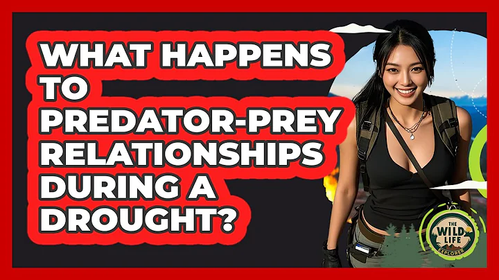 What Happens To Predator-prey Relationships During A Drought? - The Wild Life Explorer