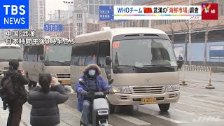ＷＨＯ国際調査チーム  武漢の「海鮮市場」を調査【Nスタ】