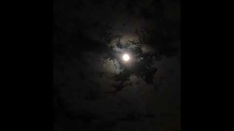 يا عبادي لا خوف عليكم اليوم ولا انتم تحزنون ، اروع تلاوات المنشاوي 🥺🖤🤎