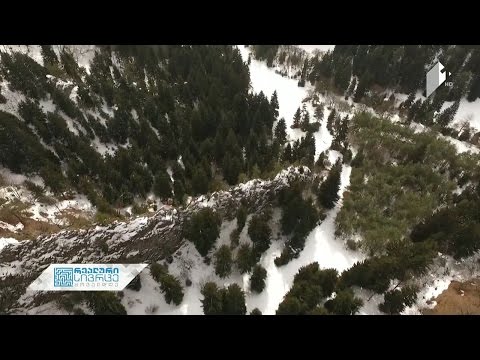 რა ახალი და უსაფრთხო მარშრუტები იქნება ტურისტებისთვის საქართველოს დაცულ ტერიტორიებზე