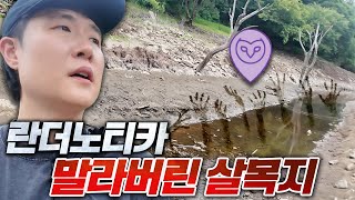 유명한 스팟 살목지에서 란더노티카... 살목지가 말라버리니 더 으스스하네요 - 란더노티카 살목지