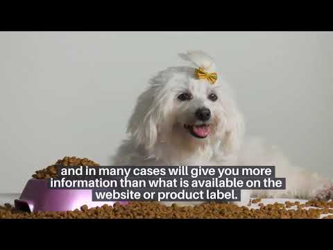 How to Find Complete And Balanced Dog Foods