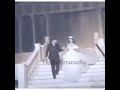 حبيبتي ملكه والباقي جواري
