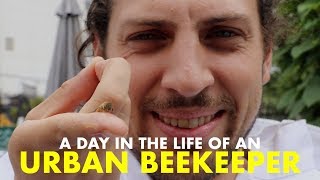 Day in the Life of an URBAN BEEKEEPER??