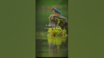 ۚ إِنَّ رَبِّي لَسَمِيعُ الدُّعَاءِ (39) #سورة_إبراهيم #المنشاوي #قرآن #اكسبلور