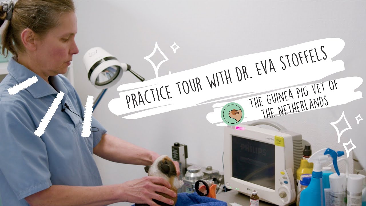 Practice Tour Dr. Eva Stoffels YouTube