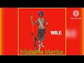 NKALAJIWA MAYIKU WILE Official Audio BY PAULO KITUNGA 4K SALAMITI Mbasha Studio Lwenge Studio 