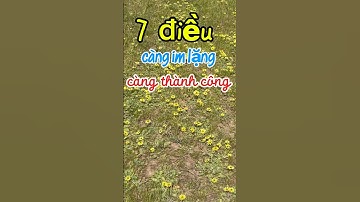 7 điều càng im lặng càng thành công #baihoccuocsong  #imlanglavang #yeucuocsong #kynangsongvui