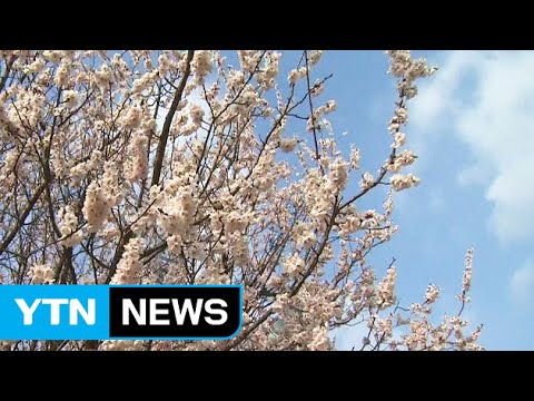 [날씨] 맑은 하늘 드러나...주말 밤 또 비 / YTN