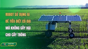 Robot sử dụng AI để tiêu diệt cỏ dại mà không gây hại cho cây trồng| Thái Nguyên TV