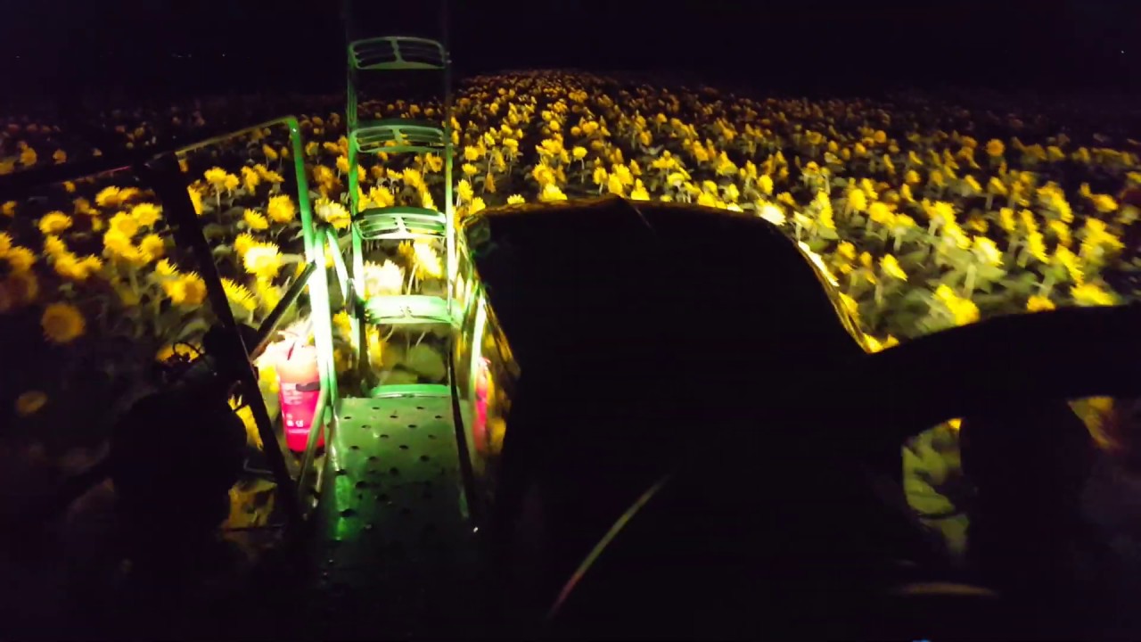 Axanit Kaba Napraforgó permetezés John Deere 4730 20160702_215222.mp4