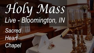 Live Mass & Rosary - 7 AM - Tue - May 28