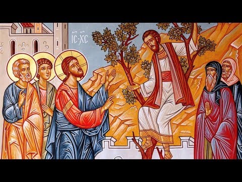 jesus rencontre zachée