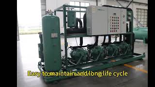 Bitzer 4 compressor racks for low temperature cold room