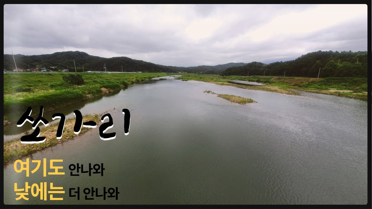 [고수온/장마철] 쏘가리야 어딨니?/여울/수초/물골