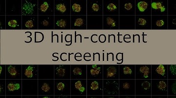 3D high content screening for identification of autophagy modulators