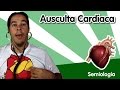 [Semiologia] Ausculta Cardíaca