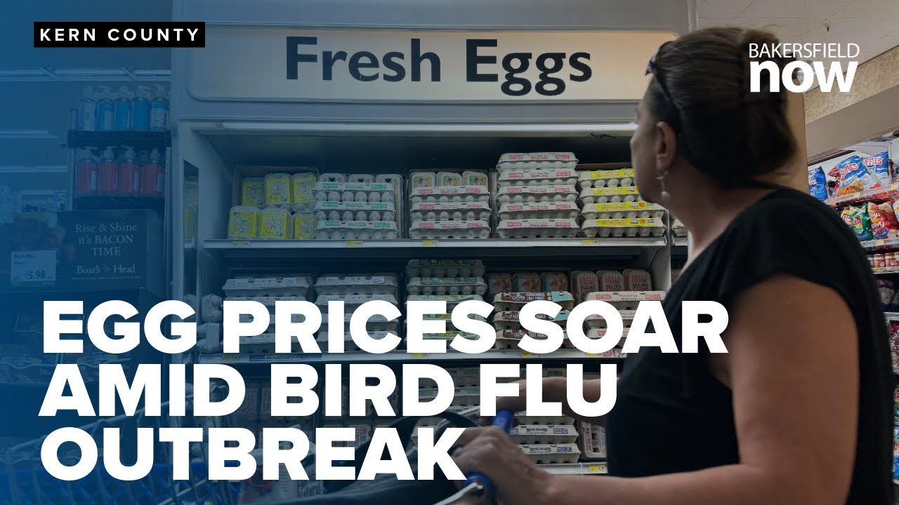 Bakersfield egg prices soar amid bird flu outbreak - YouTube