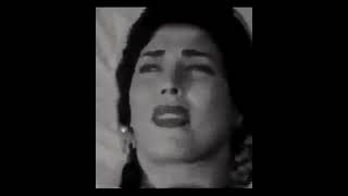 شكري سرحان (شباب امرأة)