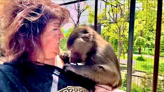Зашли с Владом к Люсе, посмотреть на отношения Степы к Анфисе❤️