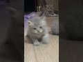 Вот такие мы красивые.