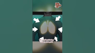 Nếu Không Biết Bơi Mà Gặp Đuối Nước Thì Phải Làm Sao??? - TikTok Kiến Không Ngủ #Shorts