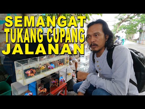 TUKANG CUPANG PINGGIR JALAN GUNUNG SAHARI 7A JAKARTA PUSAT