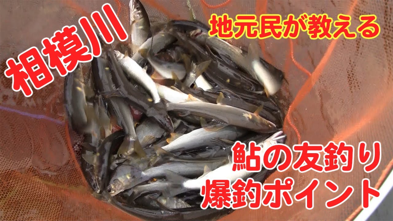 相模川のアユ釣り場 紹介 Sagami River Navigation Youtube 相模川のアユ釣り場 紹介 Sagami River Navigation Youtube