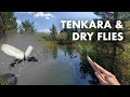 My first time fishing with dry flies tenkara fly fishing