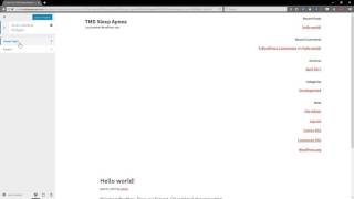 WordPress Development - Step 3: Genesis Theme Customization