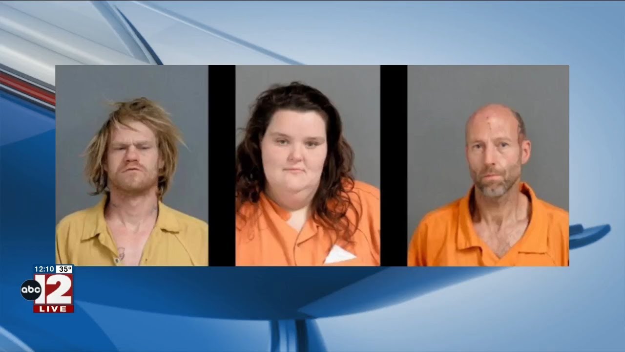 Three Flint adults charged with child and animal abuse - YouTube
