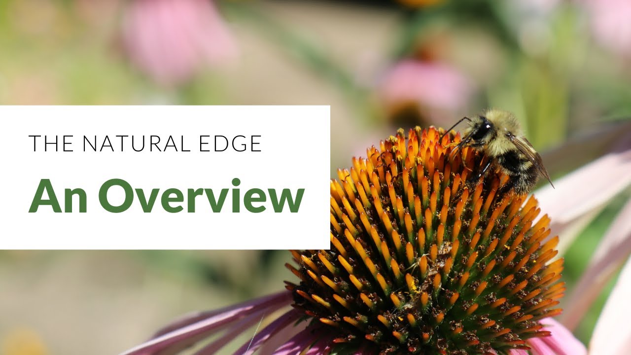 An Overview of the Natural Edge - YouTube